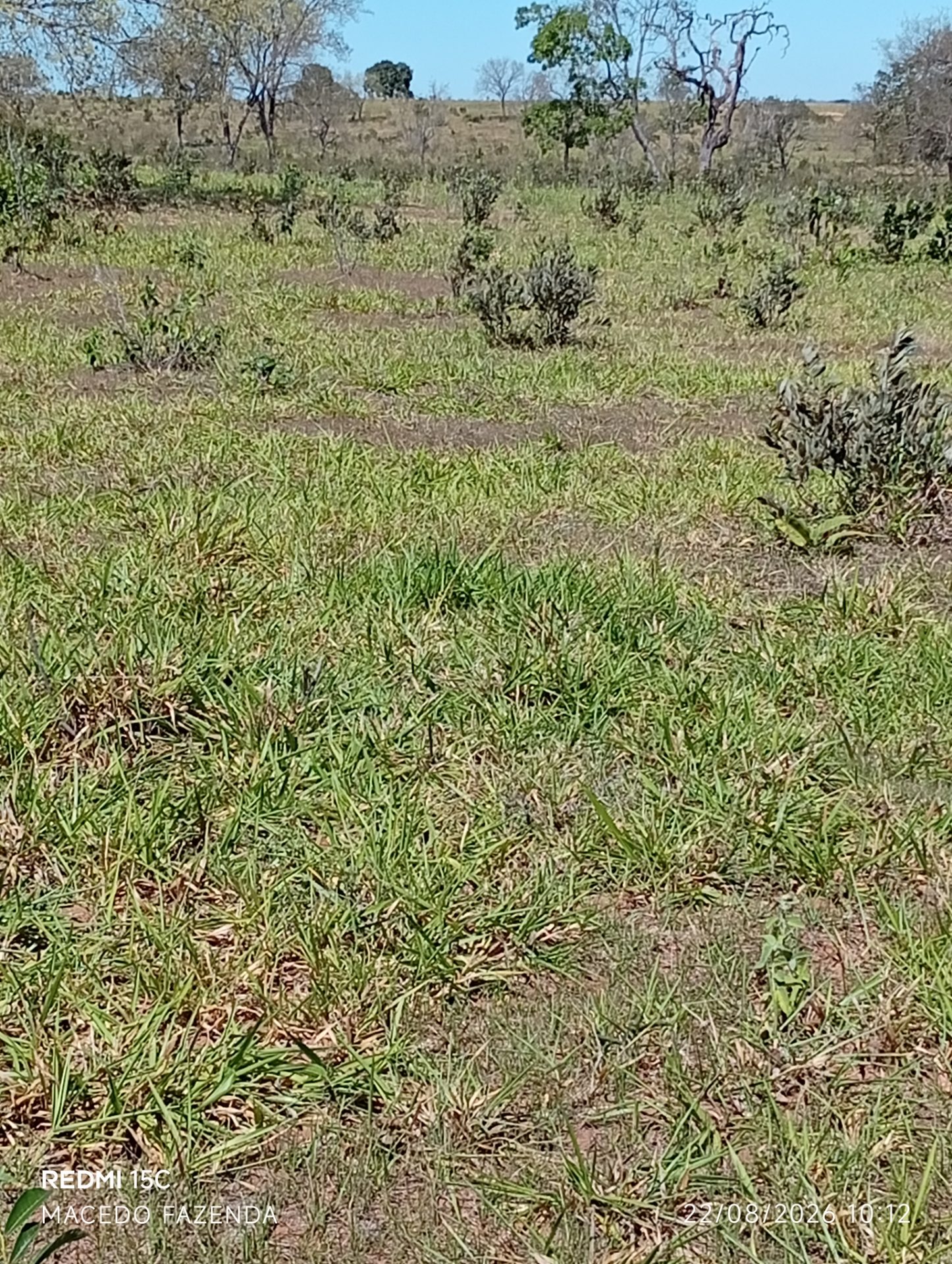 Foto 16