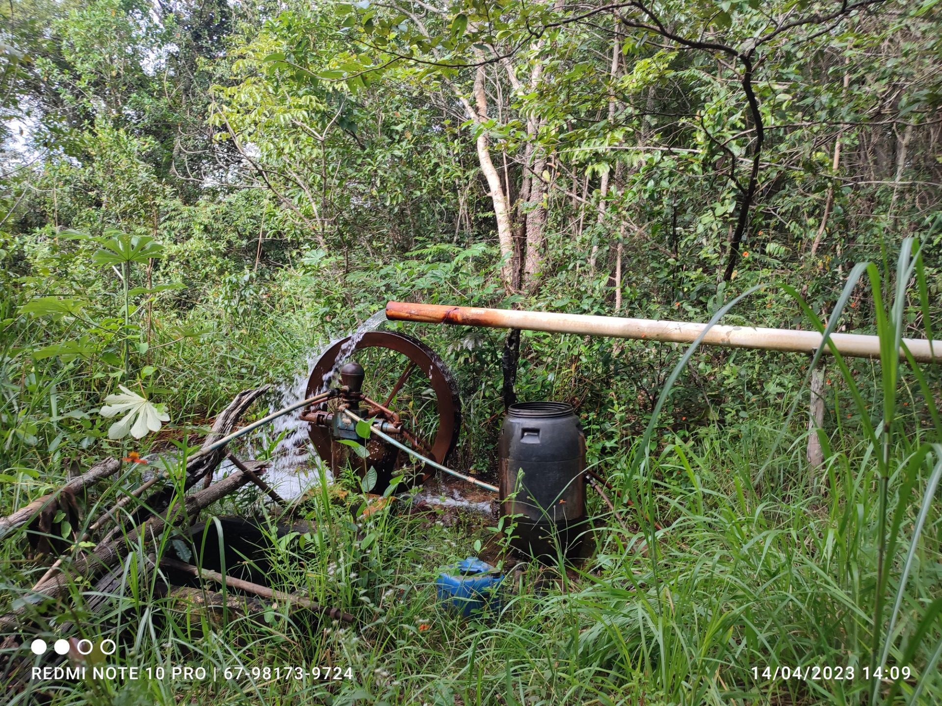 Foto 9