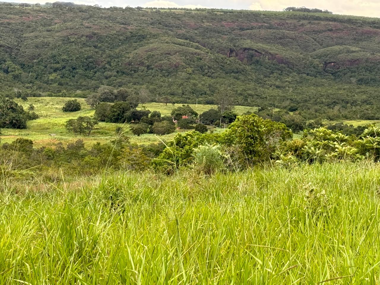 Foto 10